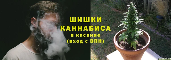 ГАЛЛЮЦИНОГЕННЫЕ ГРИБЫ Кодинск