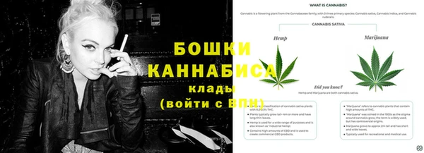ГАЛЛЮЦИНОГЕННЫЕ ГРИБЫ Кодинск
