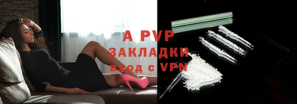 ГАЛЛЮЦИНОГЕННЫЕ ГРИБЫ Кодинск