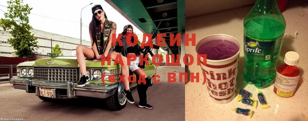 мдпв Козельск