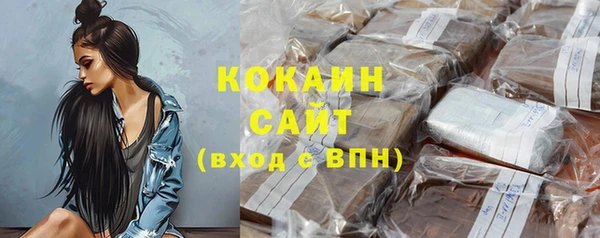мдпв Козельск
