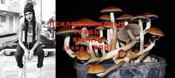 мдпв Козельск