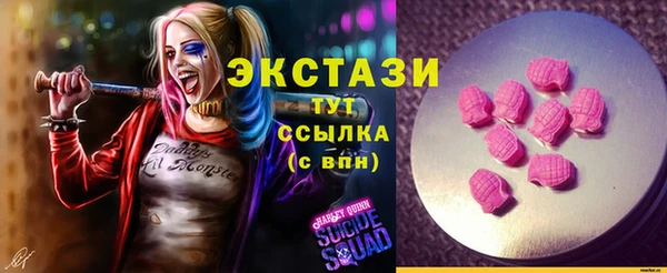 мдпв Козельск