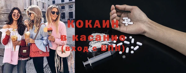мдпв Козельск