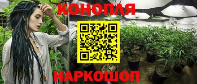 альфа пвп Аргун