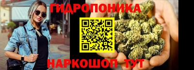 шишки Гусев