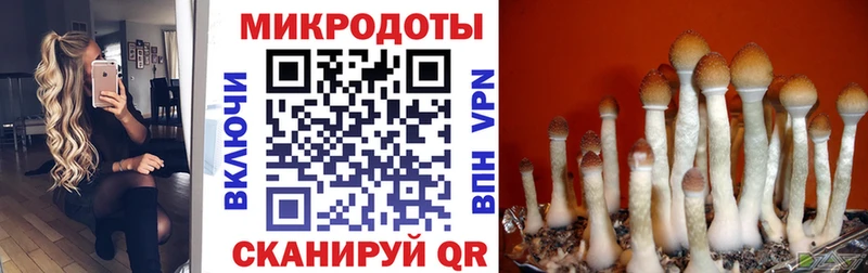 Галлюциногенные грибы мицелий  Иваново 